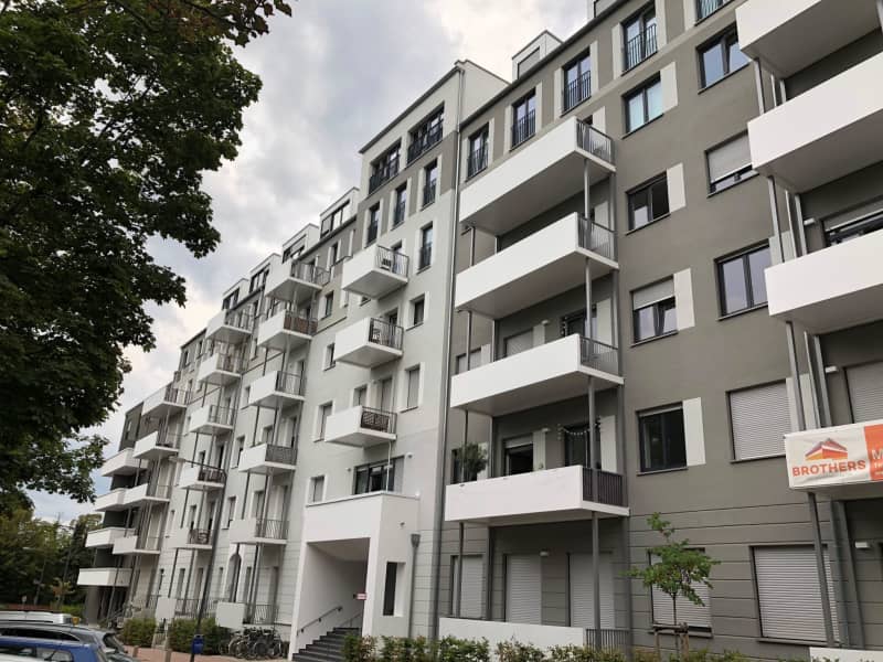 Housesitting assignment in Frankfurt am Main, Germany