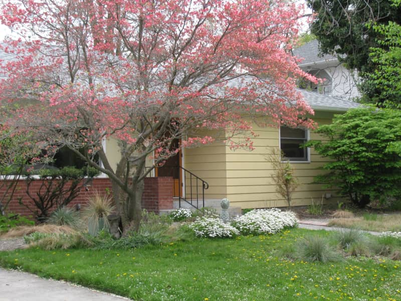 Housesitting assignment in Walla Walla, Washington, United States