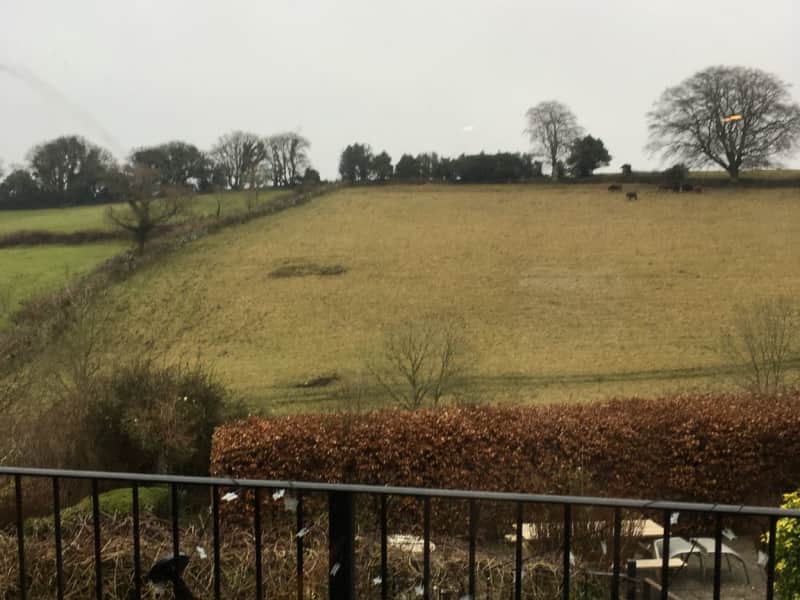 Housesitting assignment in Chagford, United Kingdom