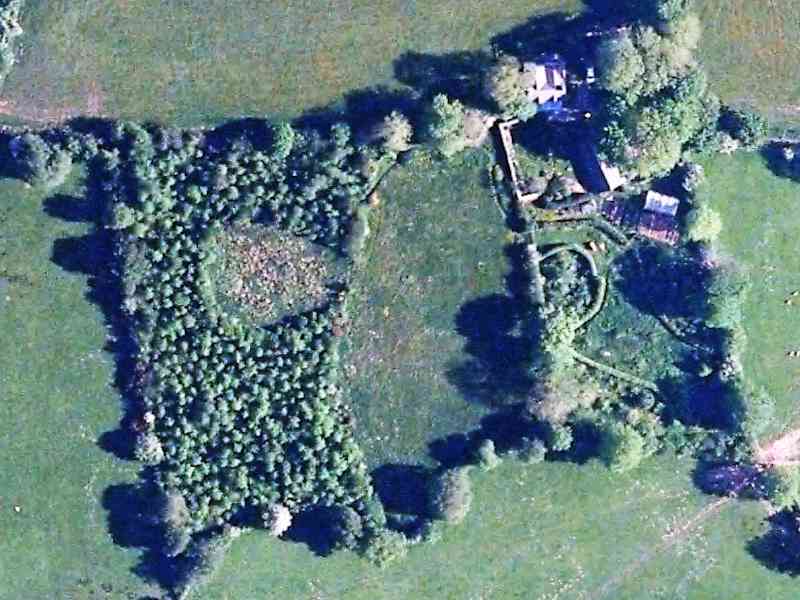 Housesitting assignment in Ystrad-Meurig, United Kingdom