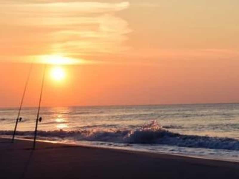 Housesitting assignment in Pensacola, Florida, United States
