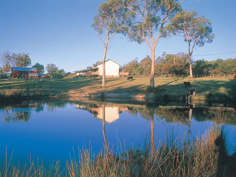 Housesitting assignment in Bridport, Tasmania, Australia