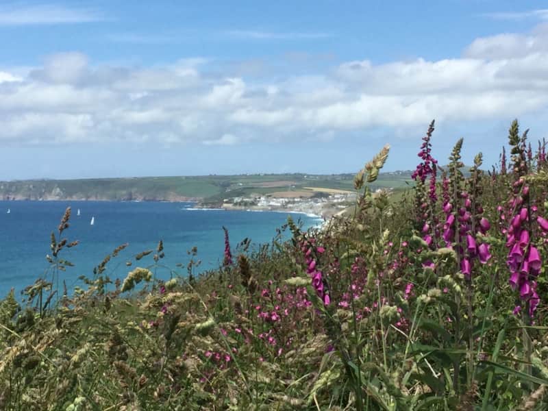 Housesitting assignment in Feock, United Kingdom