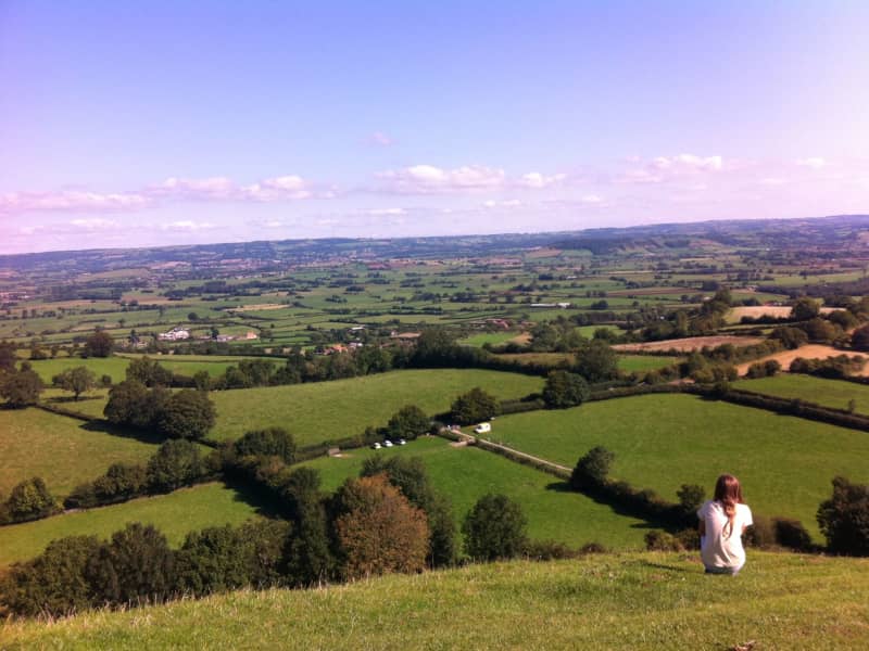 Housesitting assignment in Shapwick, United Kingdom