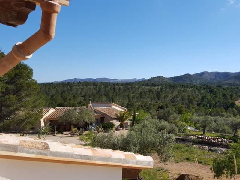 Housesitting assignment in Rasquera, Spain
