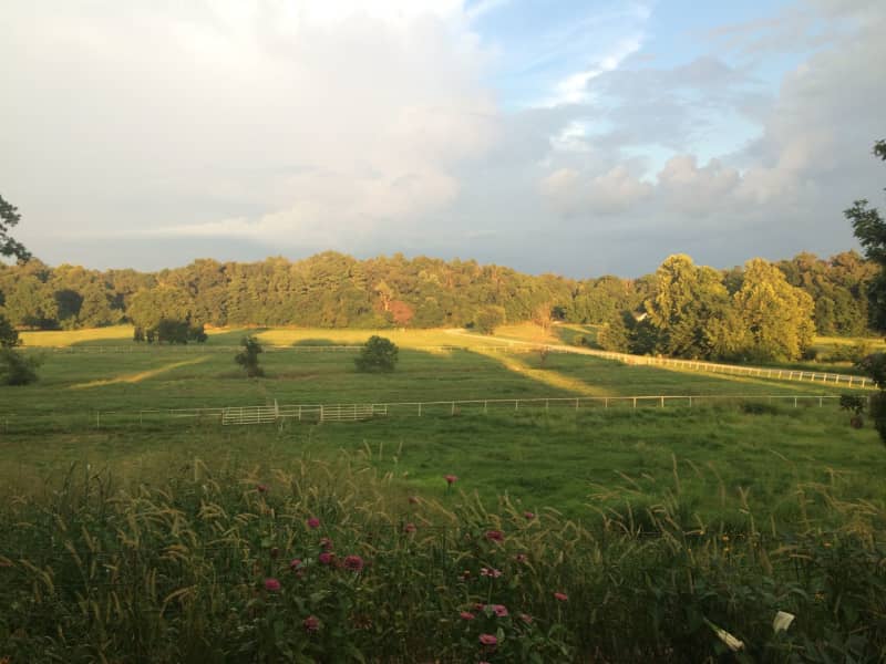 Housesitting assignment in Tontitown, Arkansas, United States