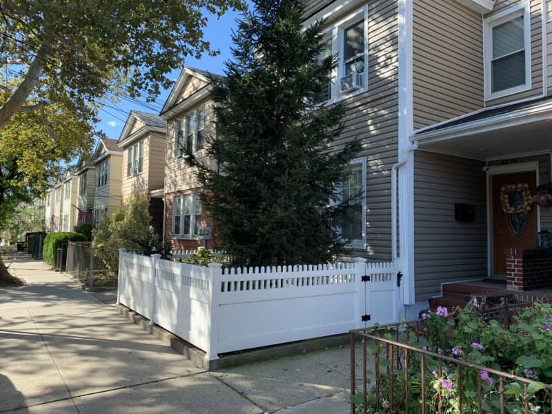 Housesitting assignment in New York City, New York, United States