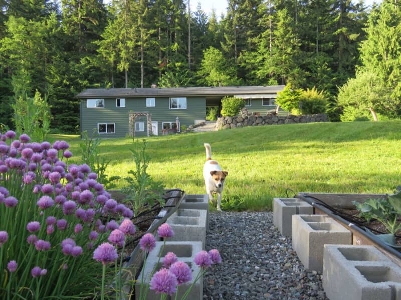 Housesitting assignment in Port Angeles, Washington, United States