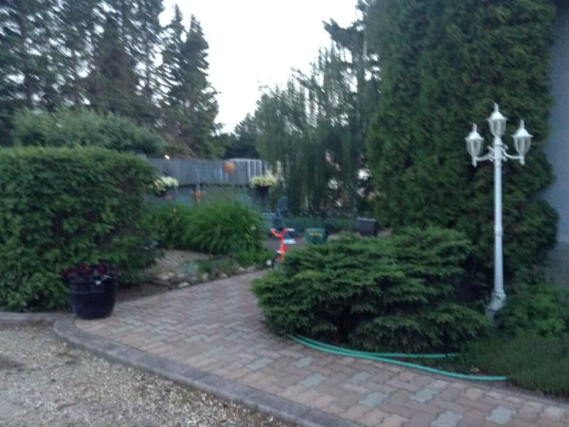 Housesitting assignment in Rimbey, Alberta, Canada