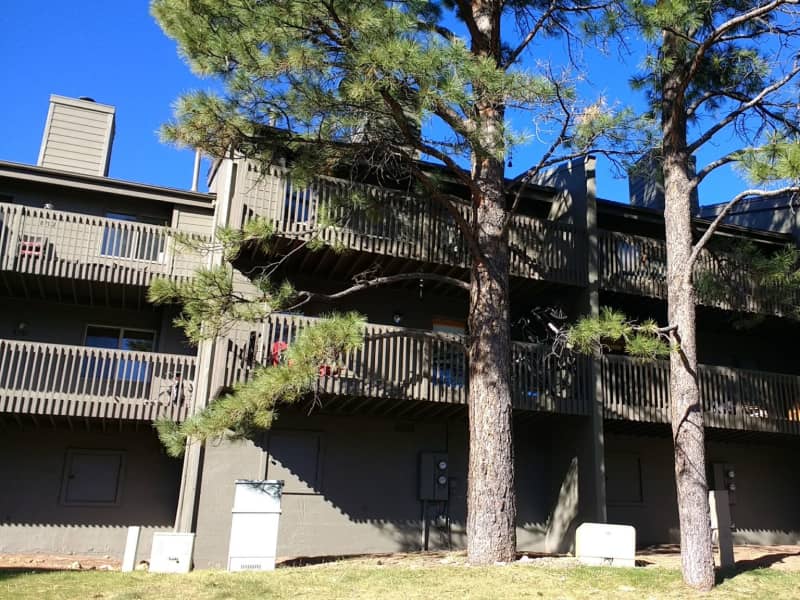 Housesitting assignment in Flagstaff, Arizona, United States