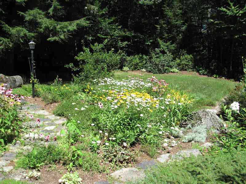 Housesitting assignment in Moultonborough, New Hampshire, United States