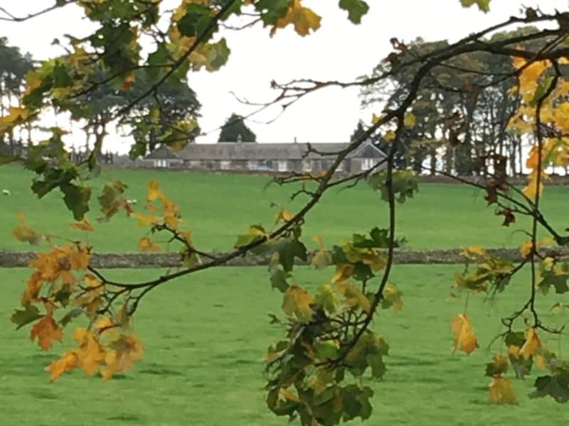 Housesitting assignment in Peebles, United Kingdom
