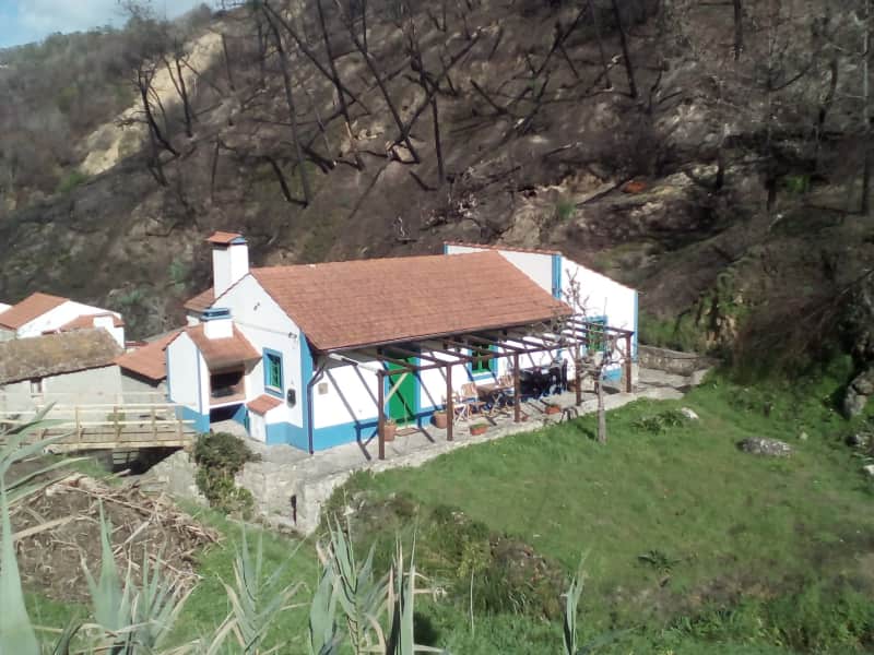 Housesitting assignment in Nazaré, Portugal