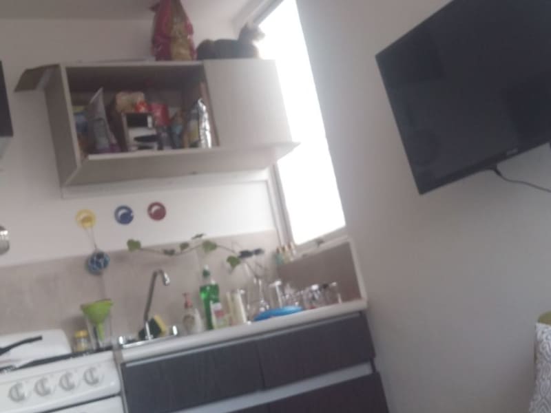 Housesitting assignment in Mexico City, Mexico