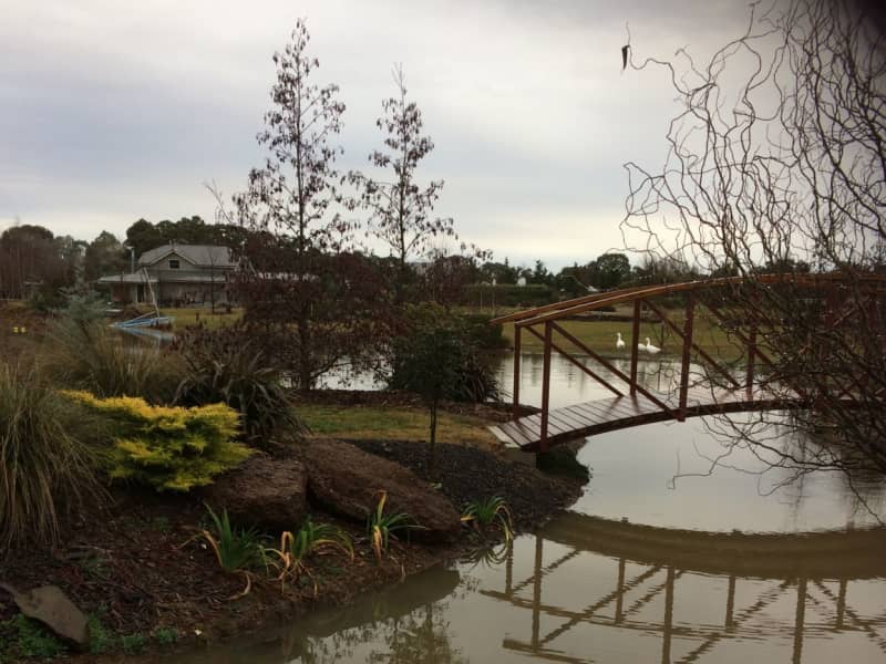 Housesitting assignment in Armidale, New South Wales, Australia