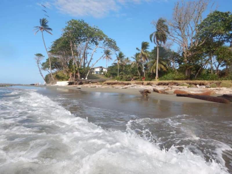 Housesitting assignment in Punta del Medio, Panama