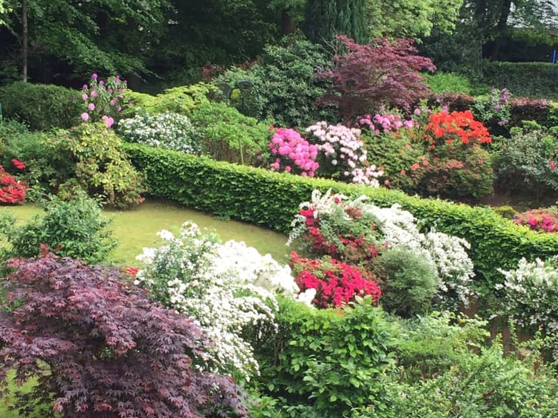 Housesitting assignment in Woluwe-Saint-Pierre, Belgium