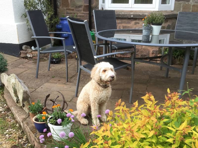 Emma & Malcolm from Tiverton, United Kingdom