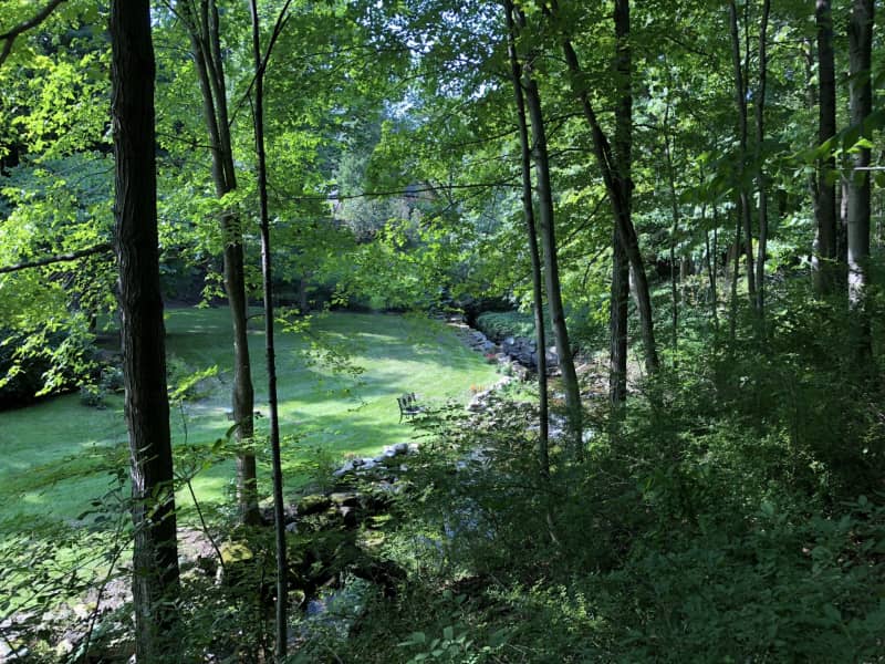 Housesitting assignment in Stockbridge, Massachusetts, United States