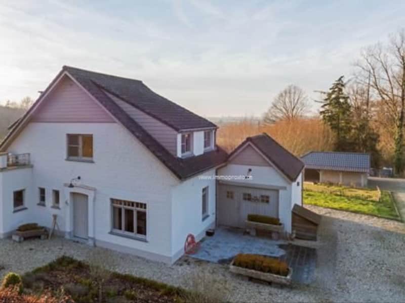 Housesitting assignment in Etikhove, Belgium