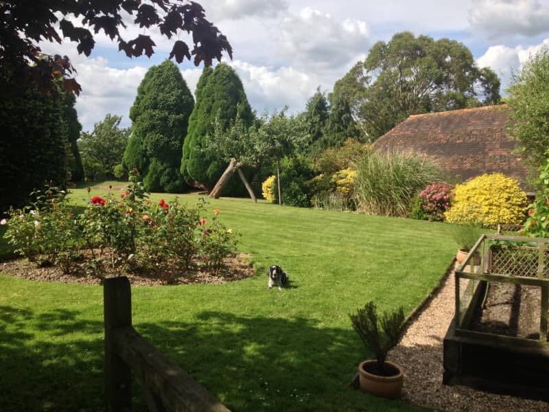 Housesitting assignment in Tenterden, United Kingdom