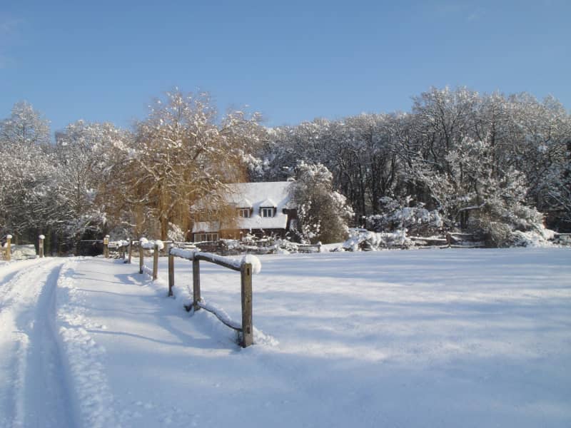Housesitting assignment in Billingshurst, United Kingdom
