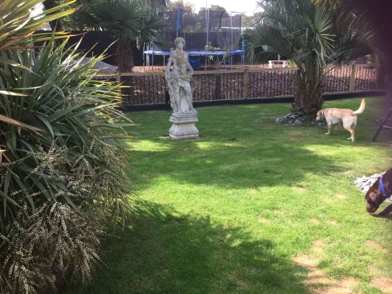 Housesitting assignment in Bexley, United Kingdom