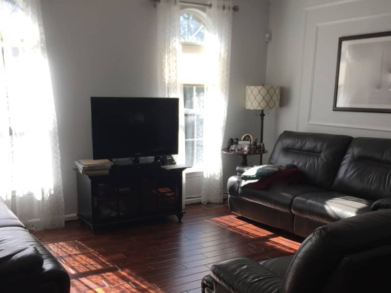 Housesitting assignment in Fairfax, Virginia, United States