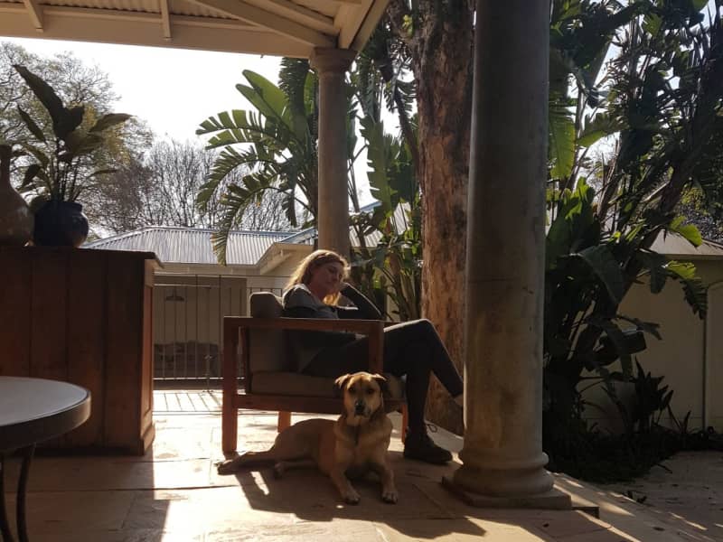 Housesitting assignment in Johannesburg, South Africa
