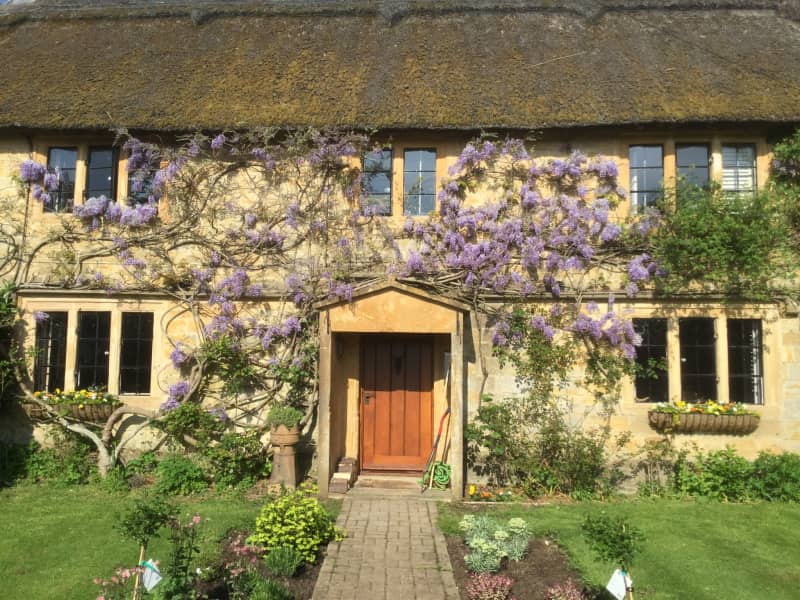 Housesitting assignment in Mosterton, United Kingdom