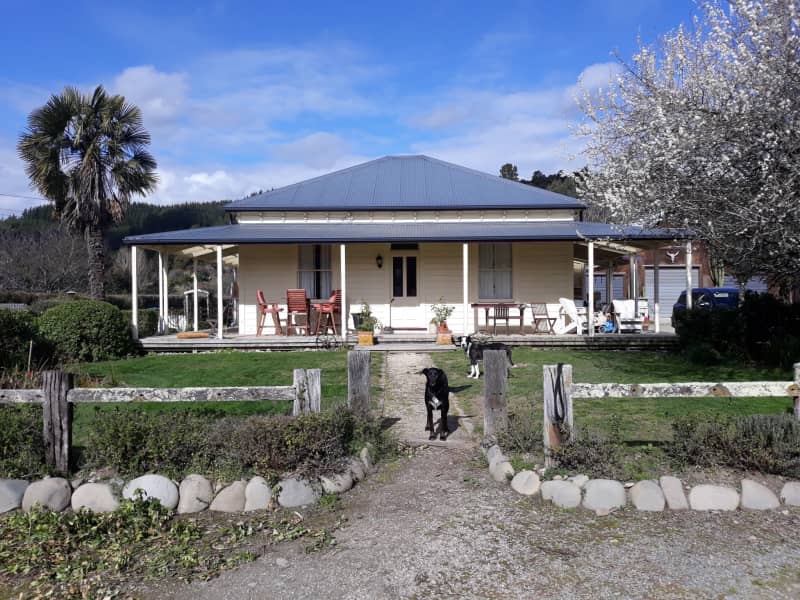 Housesitting assignment in Nelson, New Zealand