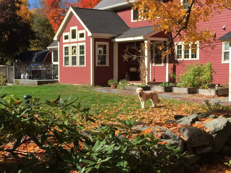 Housesitting assignment in Boylston, Massachusetts, United States