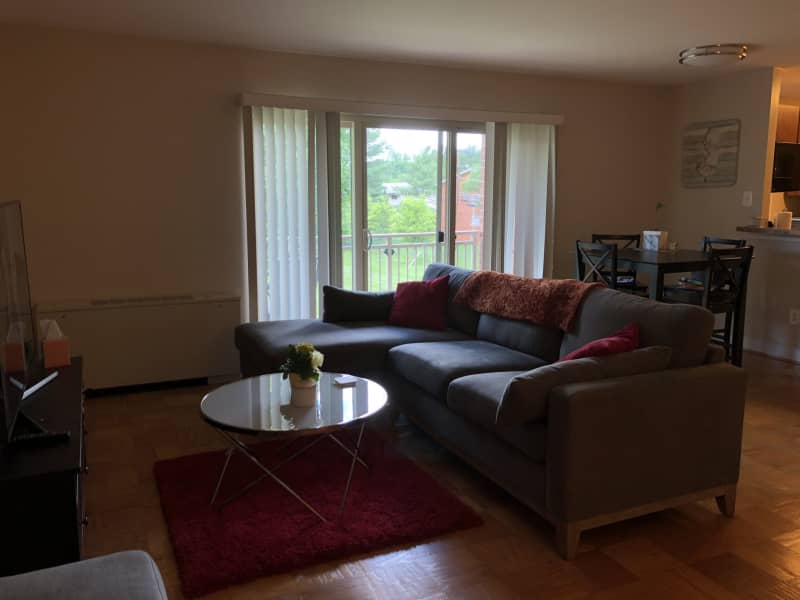 Housesitting assignment in Falls Church, Virginia, United States