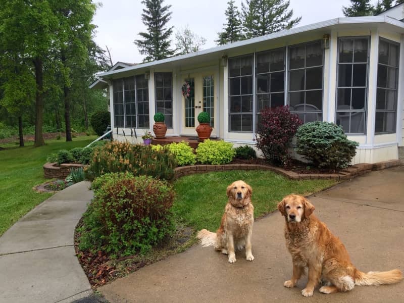 Housesitting assignment in Sherwood Park, Alberta, Canada