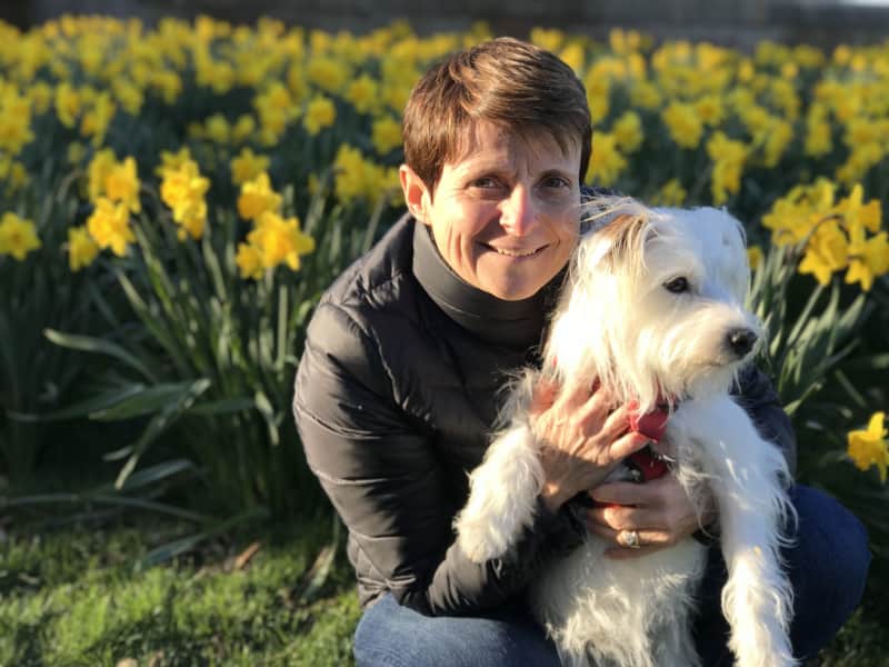 Housesitting assignment in Marblehead, Massachusetts, United States
