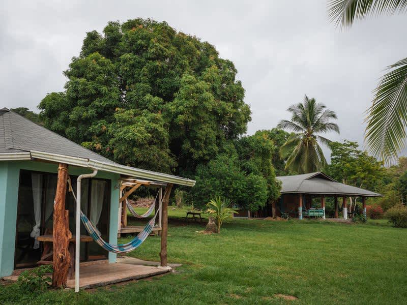 Housesitting assignment in Pavones, Costa Rica