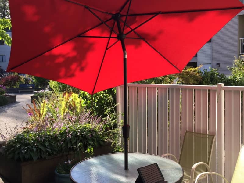 Housesitting assignment in Burnaby, British Columbia, Canada
