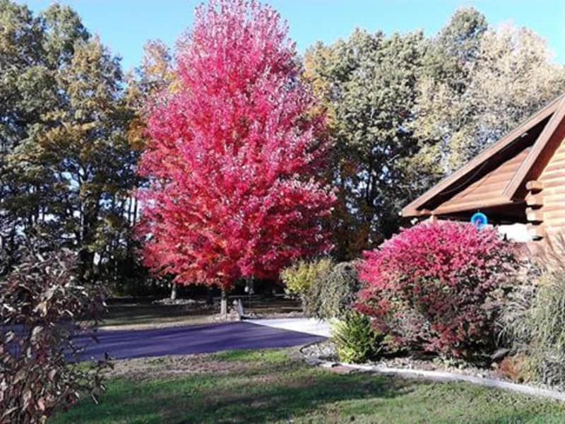 Housesitting assignment in Jackson, Michigan, United States
