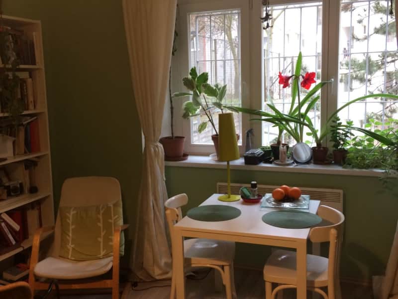Housesitting assignment in Prague, Czech Republic
