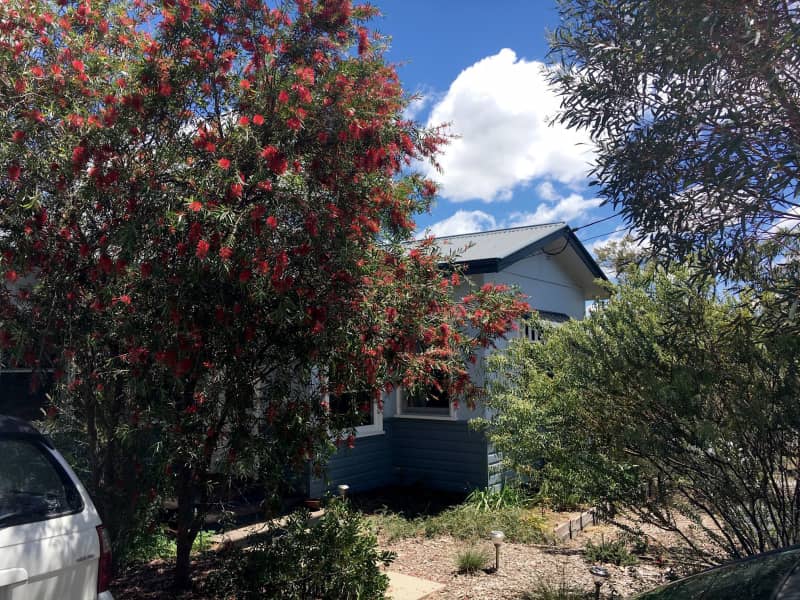 Housesitting assignment in Canberra, Australian Capital Territory, Australia