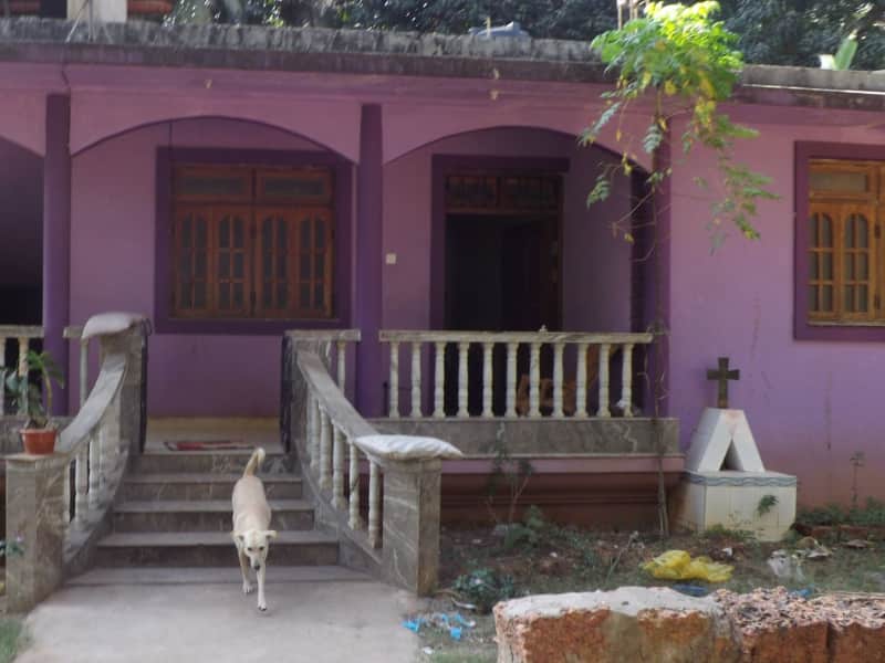 Housesitting assignment in Colva, India