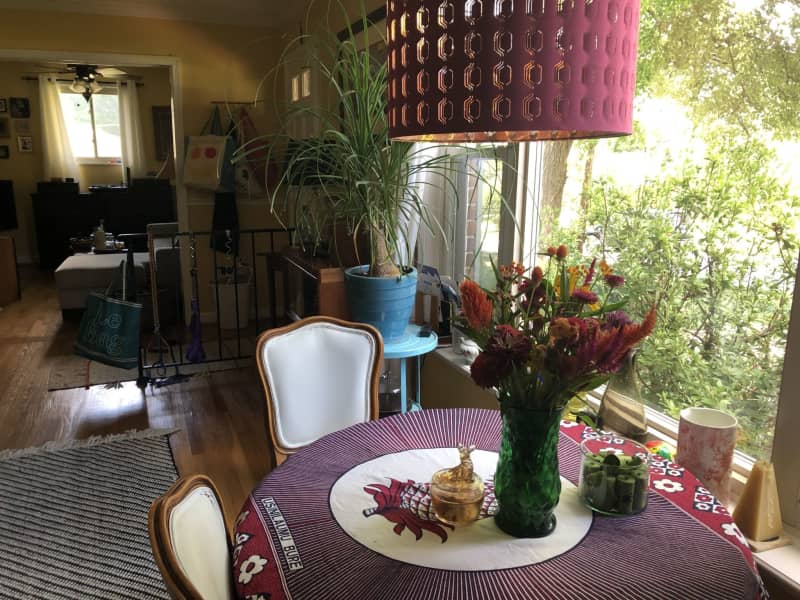 Housesitting assignment in Silver Spring, Maryland, United States