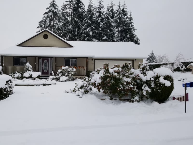 Housesitting assignment in Duncan, British Columbia, Canada