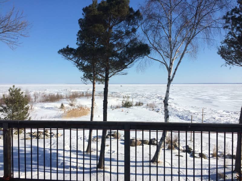 Housesitting assignment in Wasaga Beach, Ontario, Canada