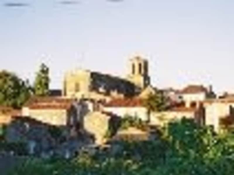 Housesitting assignment in Le Busseau, France