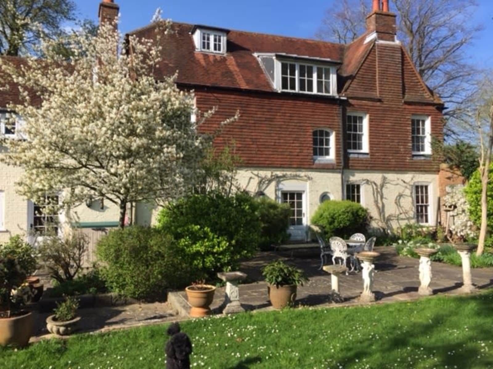 Housesitting assignment in Farnham, United Kingdom