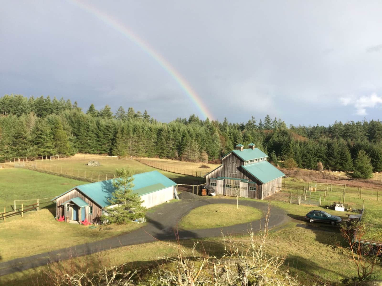 Housesitting assignment in Friday Harbor, Washington, United States