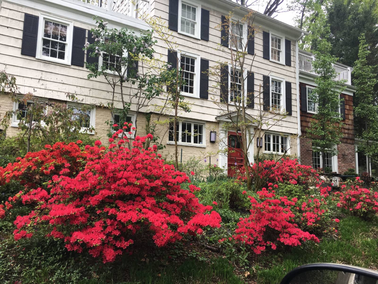 Housesitting assignment in Washington, D.C., Washington, D.C., United States