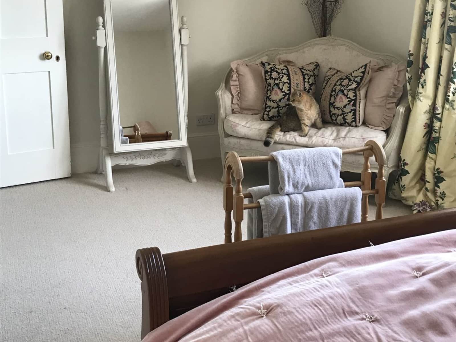 Housesitting assignment in New Alresford, United Kingdom