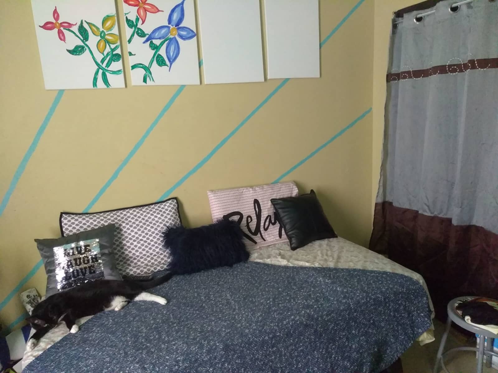 Housesitting assignment in The Bronx, New York, United States